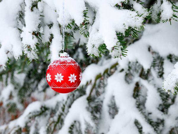 4 Tage Weihnachtszauber im Allgäu in Wiggensbach, Bayern inkl. Halbpension