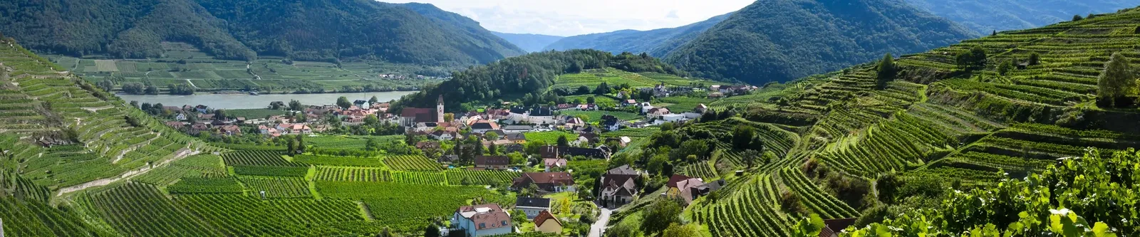 Panorama in Niederösterreich