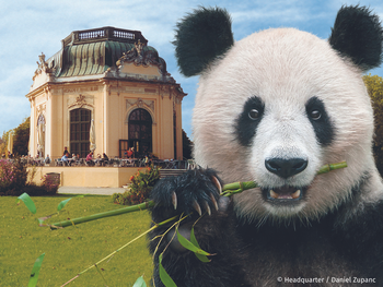 Tiergarten Schönbrunn Wien mit Hotel