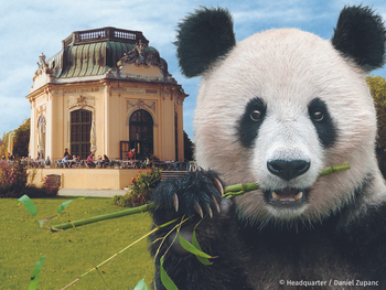 Tiergarten Schönbrunn Wien