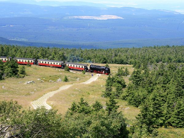 6 Tage Große Harz – Auszeit in Güntersberge, Sachsen-Anhalt inkl. Halbpension Plus