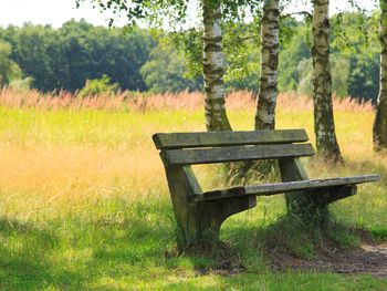 6 Tage Wanderspaß in der Region Odenwald/Bergstraße