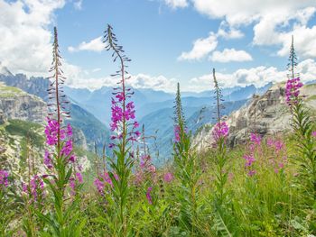 Kraftvolle Auszeit im Lesachtal