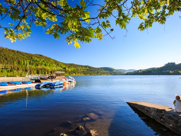 Erholung pur - 2 Tage am Titisee mit HP