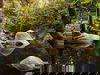 All Inclusive Auszeit im malerischen Harz
