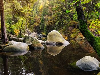 All Inclusive Auszeit im malerischen Harz