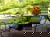 3 romantische Wellnesstage mit Massage und Duftbad