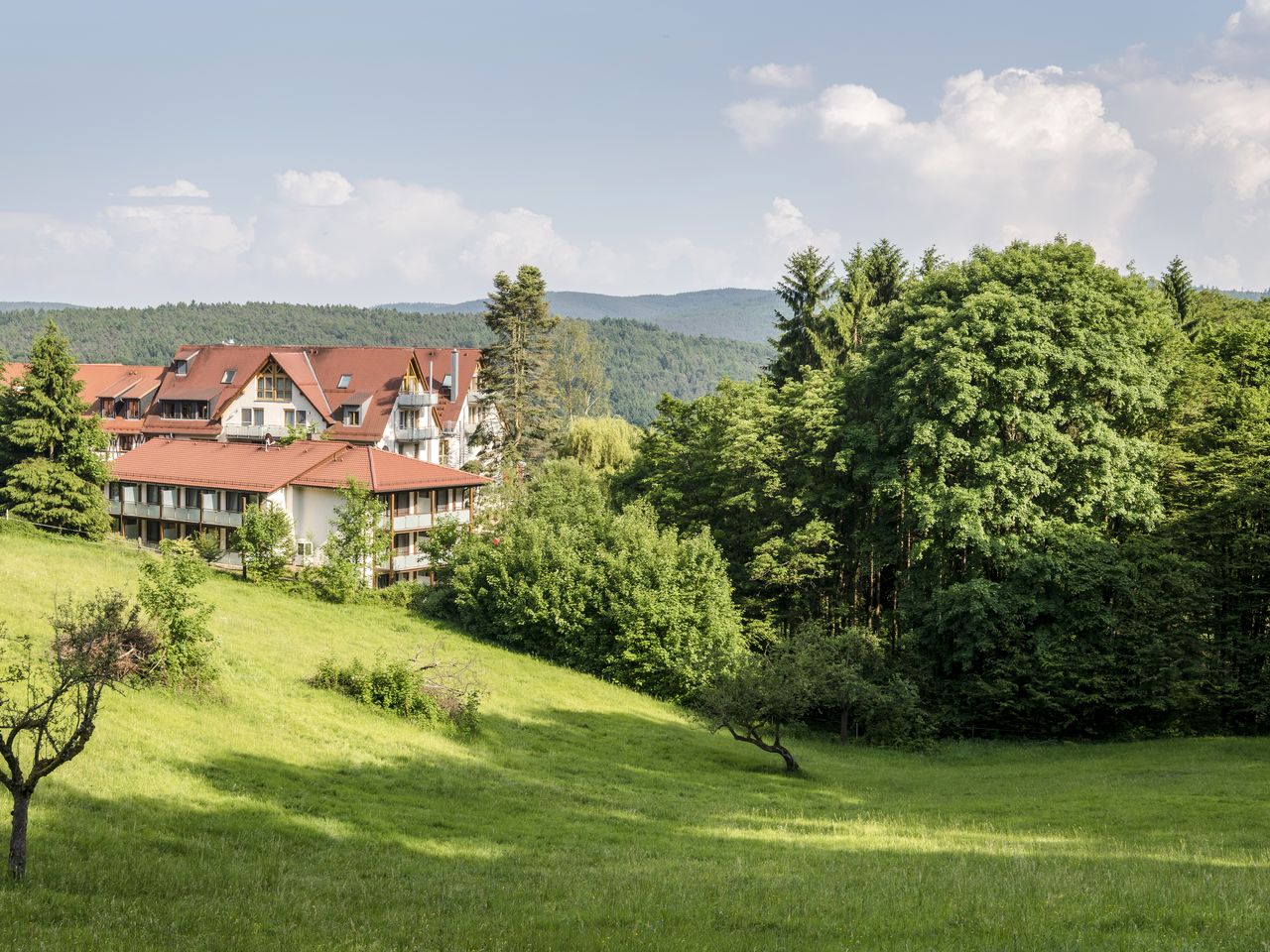 Heimatgefühl im Spessart - 2 Nächte Heimathenhof