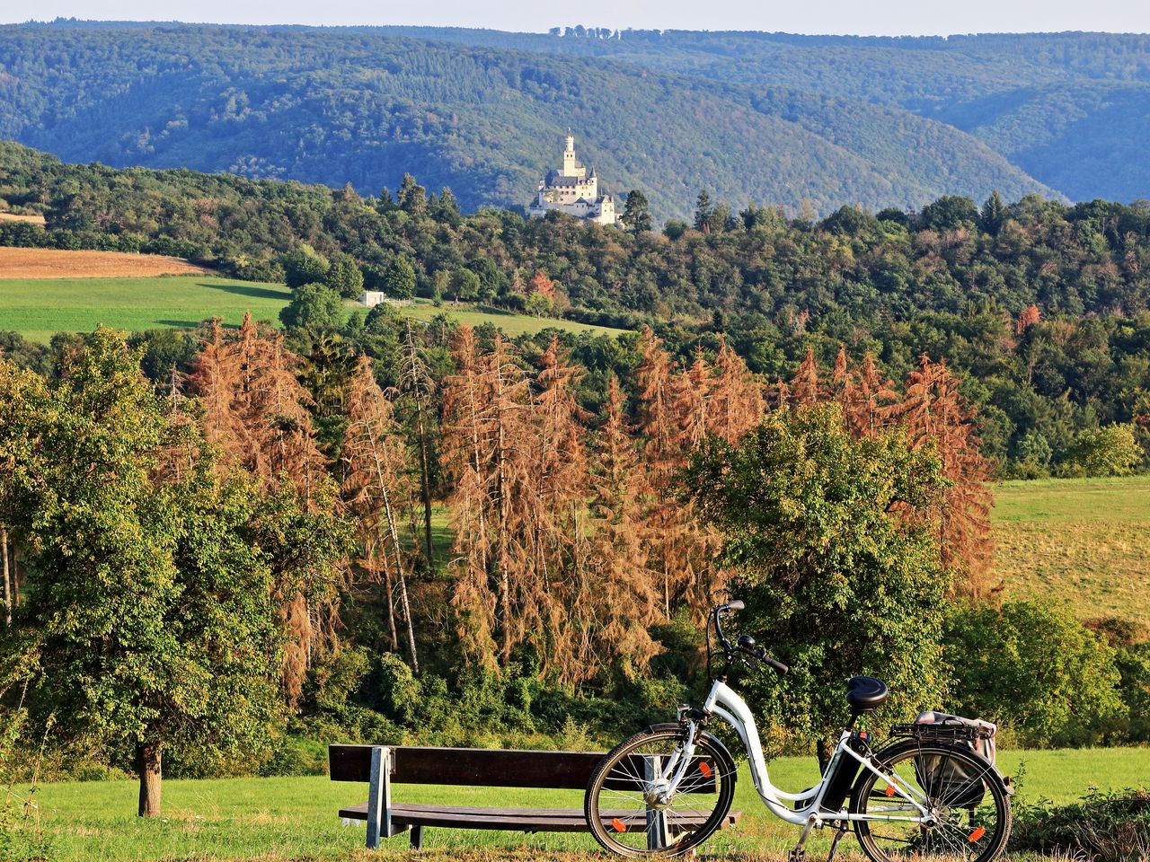 Loreley mit dem E-Bike entdecken