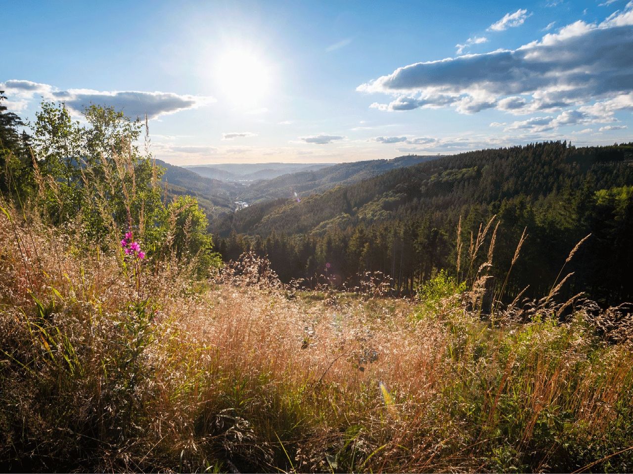 Lieblingsmensch | 3 Tage Auszeit im Sauerland