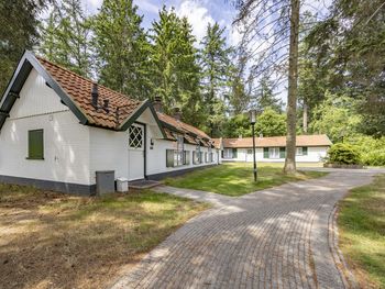 Bild 70 von 325