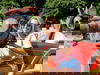 5 Tage Piratenaufenthalt am Freizeitpark Geiselwind
