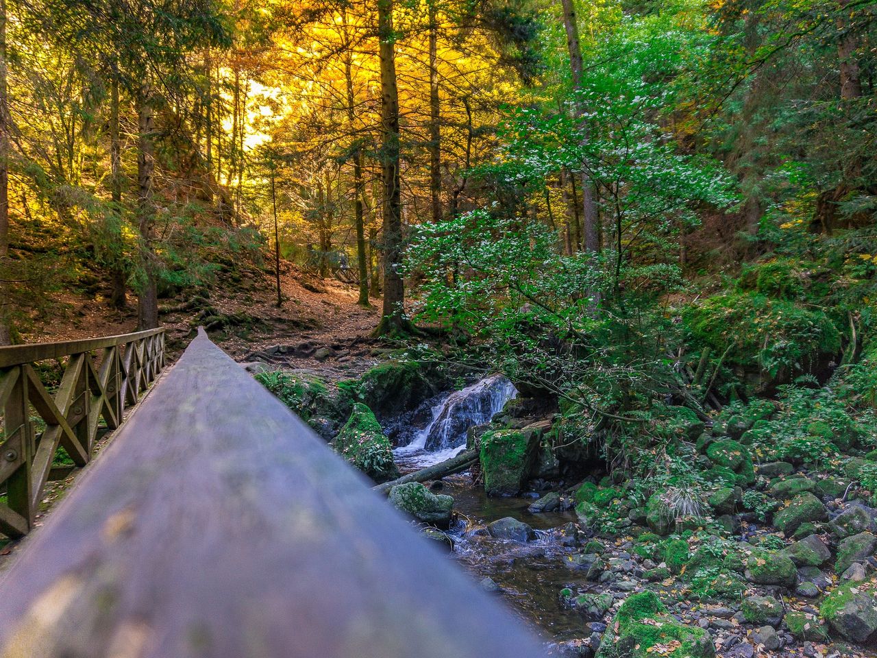 Hol Dir Kraft... aus der Natur im bayerischen Wald