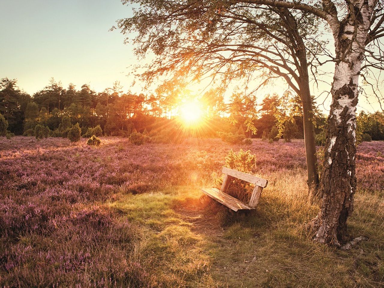 Zauberhafte Wintertage in der Lüneburger Heide