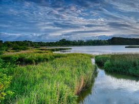 Urlaubswoche auf Rügen -  Natur, Meer & Entspannung