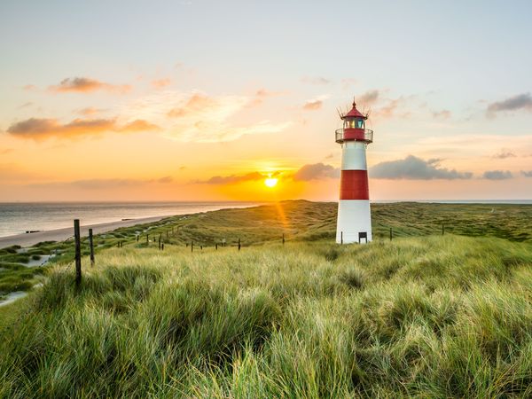 3 Tage LandWind – Winter Last Minute in Bohmstedt, Schleswig-Holstein inkl. Halbpension