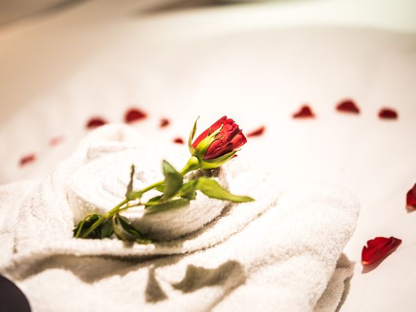 Kuschelgetuschel mit Sekt, Rosen, Cocktail & HP in Dresden Halbpension