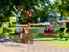3 Tage Wellnesstraum aus 1001 Nacht in Saarbrücken