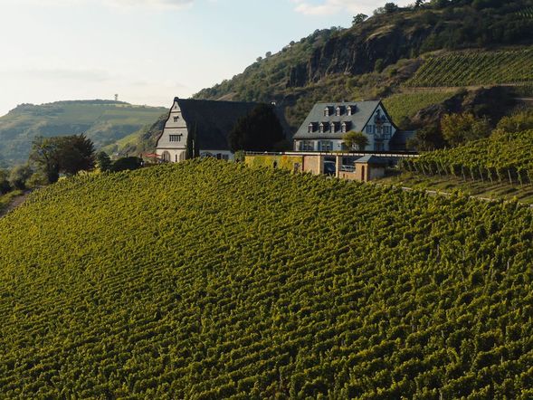 Gästehaus Gut Hermannsberg