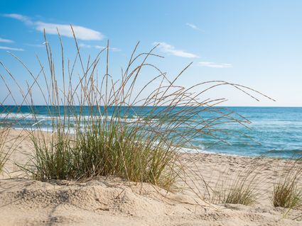 3 Tage Einfach mal Richtung Ostsee