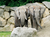 Tiergarten Schönbrunn Wien mit Hotel
