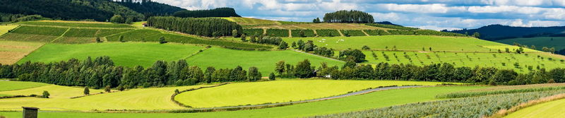 Sanfte grüne Hügel mit Feldern und Waldstreifen unter Wolkenhimmel