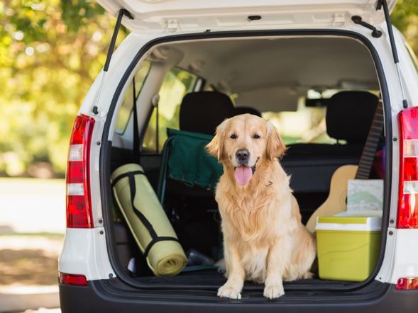 3 Tage Urlaub mit Hund