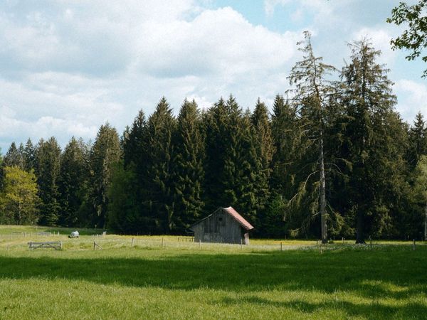 3 Tage Natur Pur – Waldbaden im Allgäu mit HP in Isny im Allgäu, Baden-Württemberg inkl. Halbpension