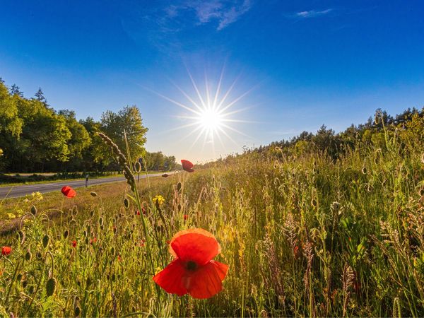 4 Tage Drei gleich Zwei Angebot auf dem Darß in Zingst, Mecklenburg-Vorpommern inkl. Frühstück
