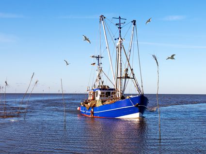 Nordseeküste erleben- 7 Tage im B&B Hotel Bremerhaven