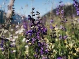 Ski, Spa & Grüne Haube
