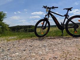 5 Tage Schwarzwaldliebe auf vier Pfoten