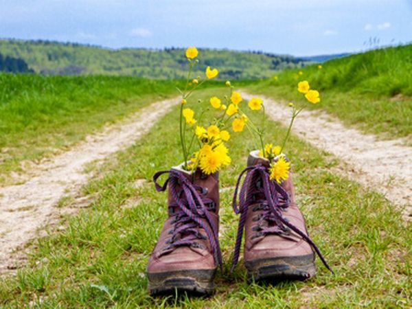 4 Tage Rhöner Natur entdecken – zu Fuß oder auf dem Rad in Dipperz (Fulda), Hessen inkl. Halbpension