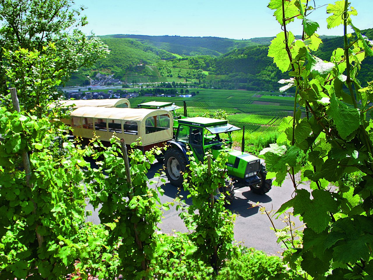 MOSEL-ERLEBNISWOCHE