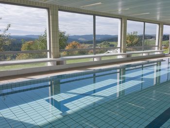 Urlaub mit Hund im Schwarzwald I 6 Tage