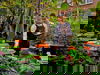 3 Tage Entspannung in Amsterdam