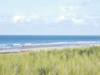 5 Tage an der südholländischen Küste