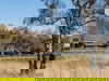 4 Tage Natur pur & Entspannung im Herzen von Drenthe