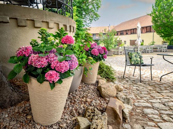 Resort Schloss Auerstedt