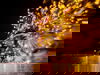 Silvester am Bodensee