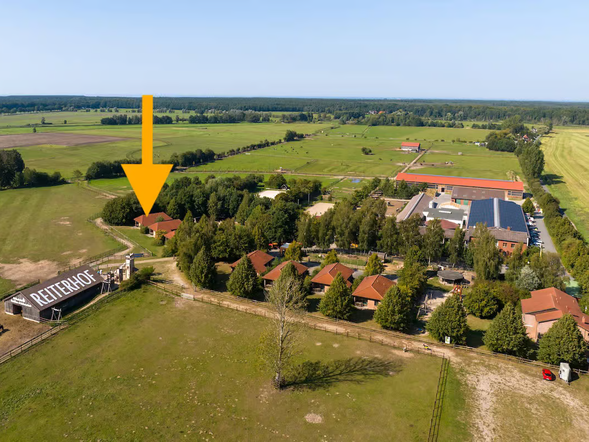 Ferienhaus - Islandpferd