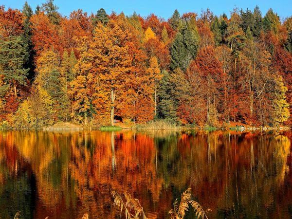 2 Tage Goldene Auszeit in Freudenstadt, Baden-Württemberg inkl. Frühstück
