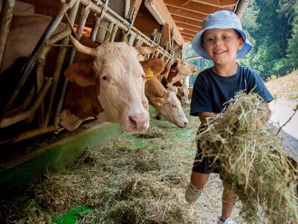 6 Tage Ferienzeit mit Schatzsuche & Bauernhof im Münstertal in Münstertal/Schwarzwald, Baden-Württemberg inkl. Halbpension