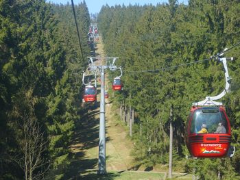 Romantisches Weihnachtsarrangement im Harz