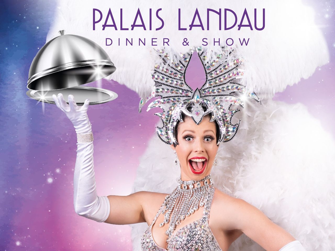 Palais Landau - Advent mit Dinner & Show | 3 Tage