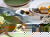 6 Tage Genuss in Tirol im Hotel & Wirtshaus Post