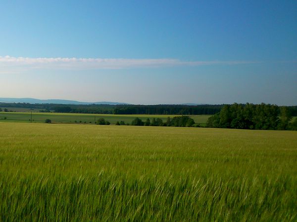 2 Tage Biker-Traum im Hunsrück in Kirchberg (Hunsrück), Rheinland-Pfalz inkl. Halbpension