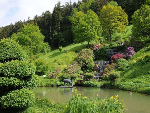 Thermenwelt im Schwarzwald - 3 Tage Erholung pur! in Bad Teinach-Zavelstein, Baden-Württemberg inkl. Halbpension
