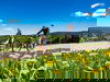 4 Tage Sommerurlaub am Fichtelberg in Oberwiesenthal