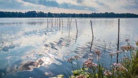 Ruppiner See